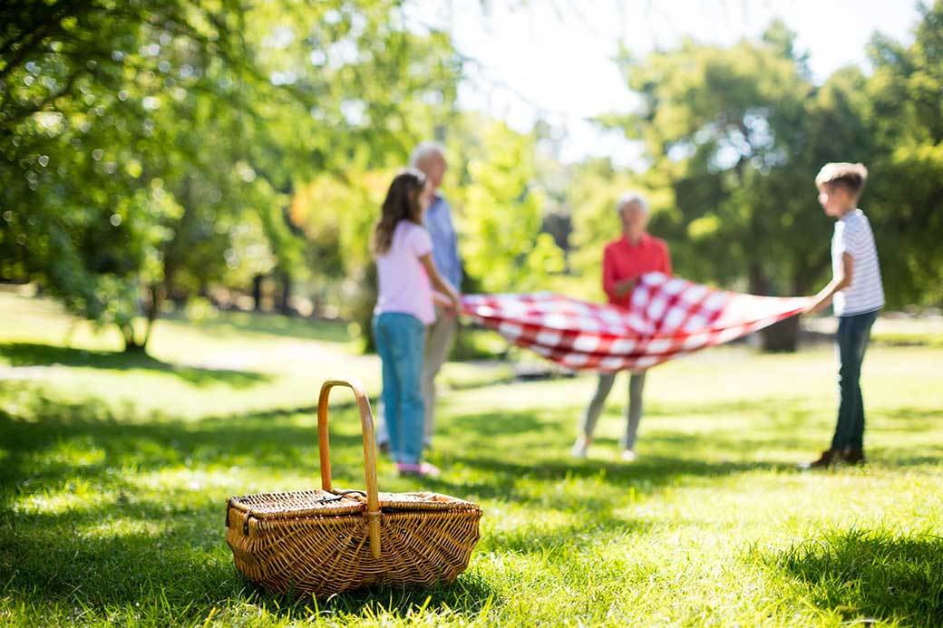 5 Best Picnic Baskets Sept. 2021 BestReviews