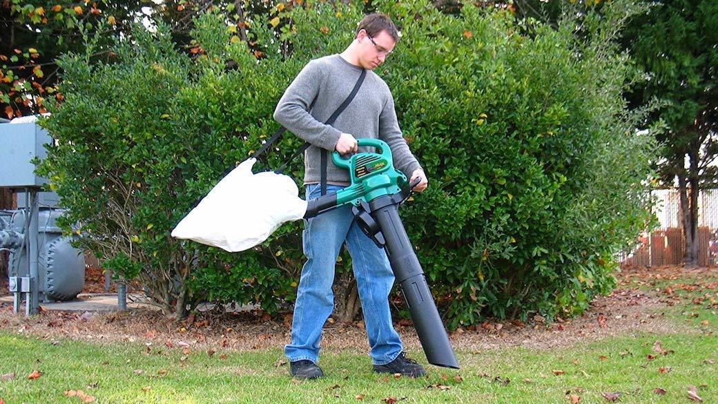 5 Best Leaf Vacuums May 2021 BestReviews