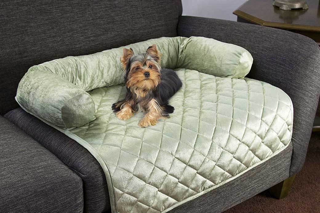 5 Best Pet Furniture Covers July 2021 BestReviews