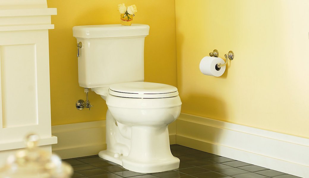 5 Best Kohler Toilets May 2021 BestReviews