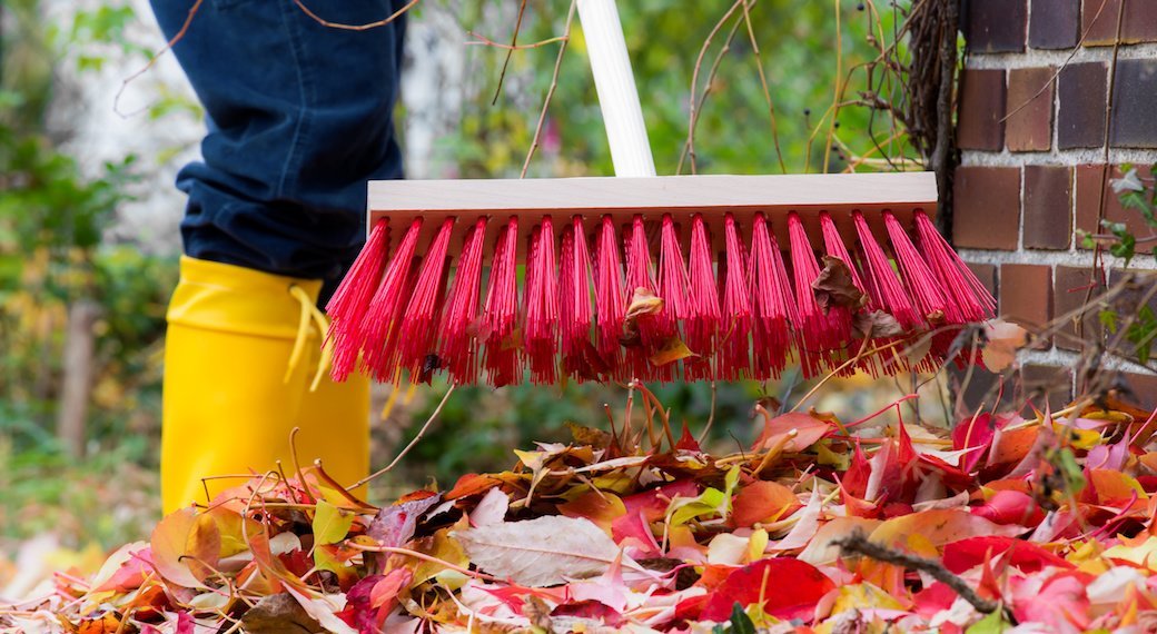 5 Best Brooms Sept. 2021 BestReviews