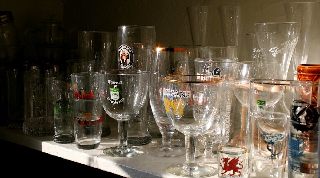 5 Best Beer Glasses Sept. 2021 BestReviews