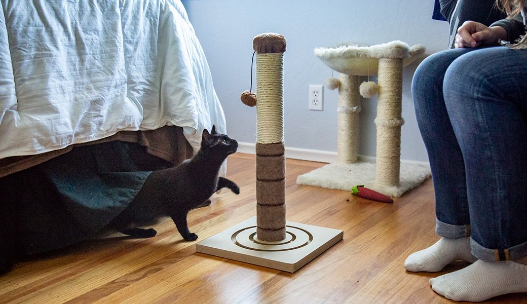 5 Best Cat Scratching Posts Nov. 2020 BestReviews
