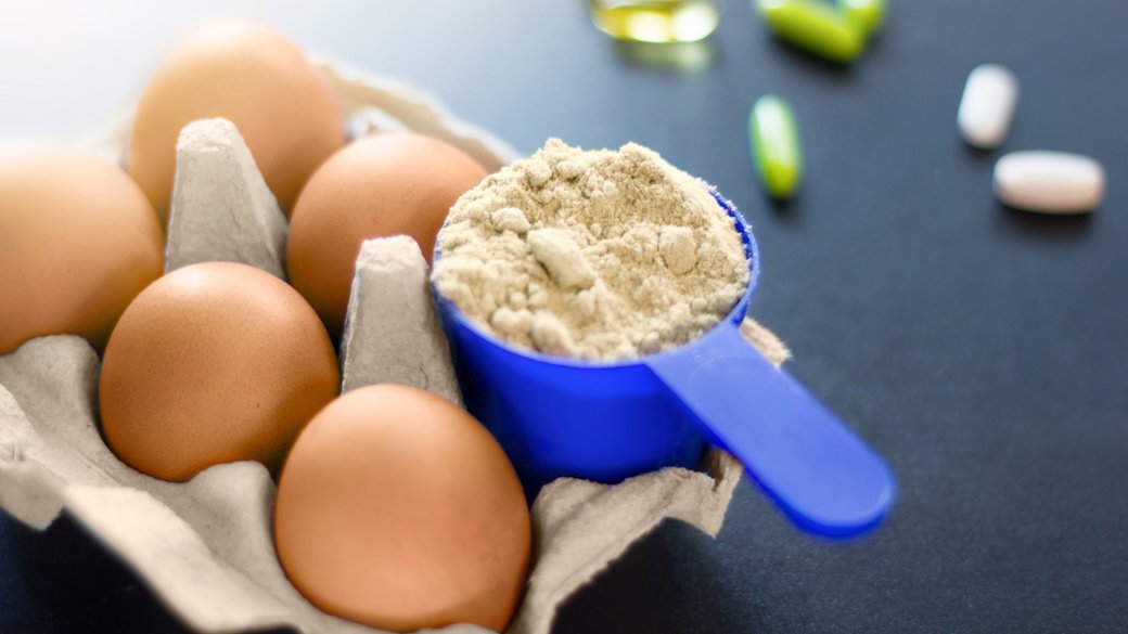 5 Best Egg Protein Powders Aug. 2021 BestReviews