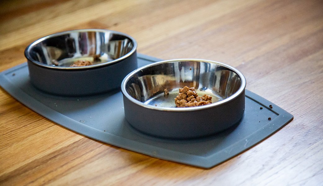 5 Best Wet Cat Food Feb. 2021 BestReviews