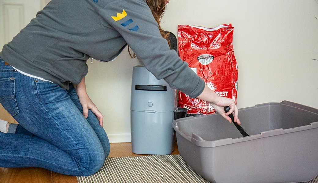 5 Best Litter Boxes Mar. 2021 BestReviews