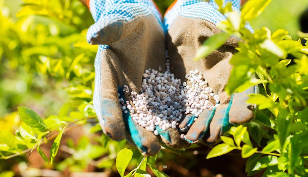 5 Best Garden Fertilizers Apr. 2021 BestReviews
