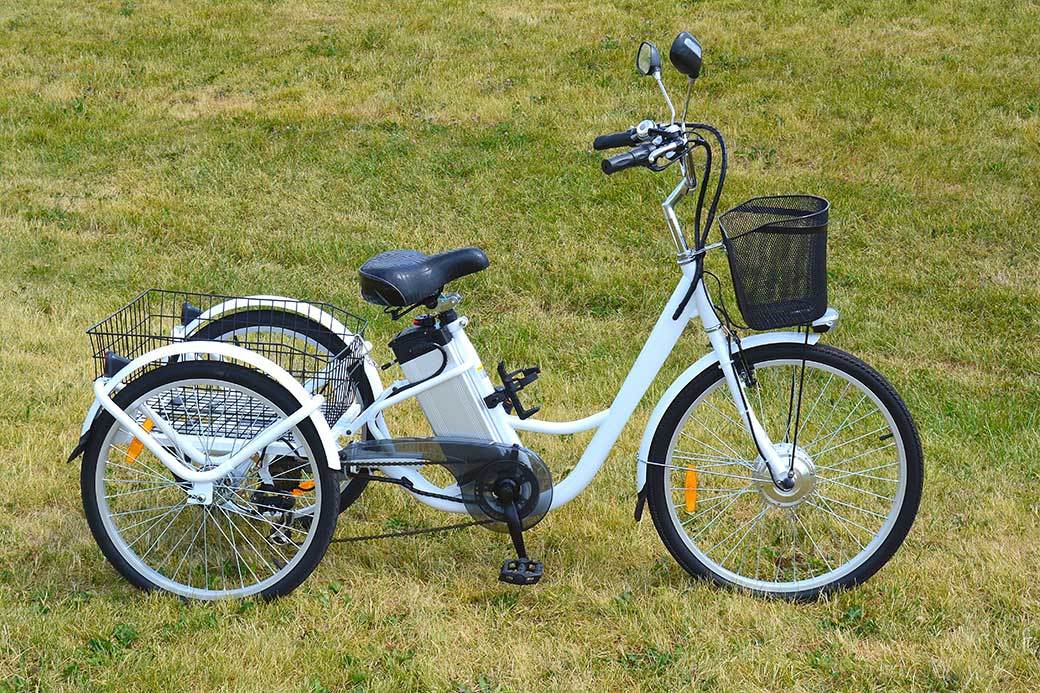 5 Best Electric Trikes Feb. 2021 BestReviews