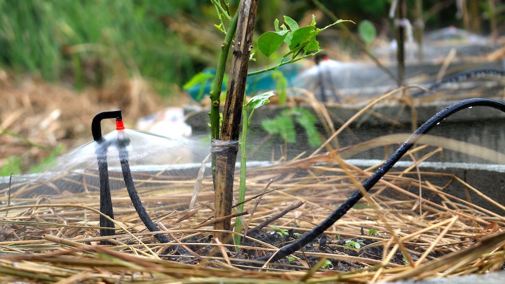 5 Best Drip Irrigation Kits Jan. 2021 BestReviews