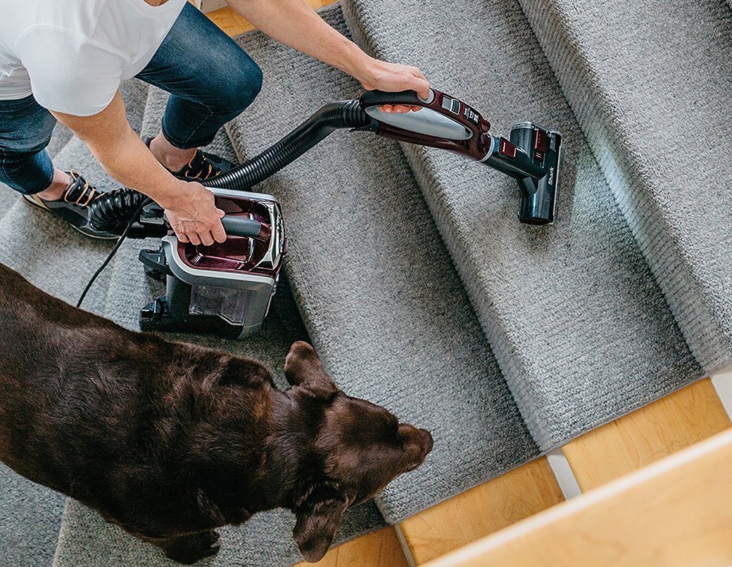 5 Best Shark Vacuums June 2021 BestReviews