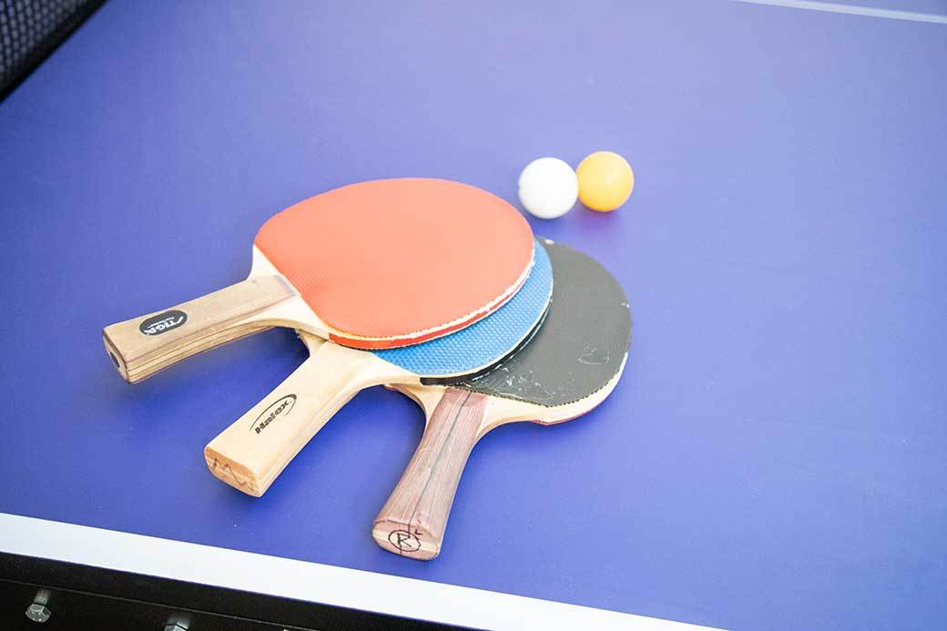 5 Best PingPong Paddles Nov. 2020 BestReviews