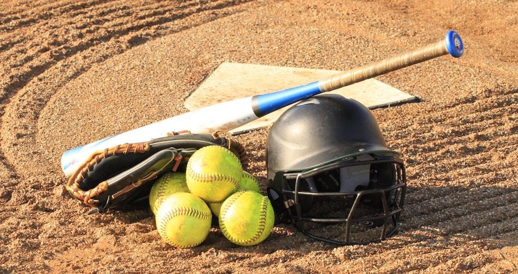 5 Best Baseball Bats - Sept. 2021 - BestReviews
