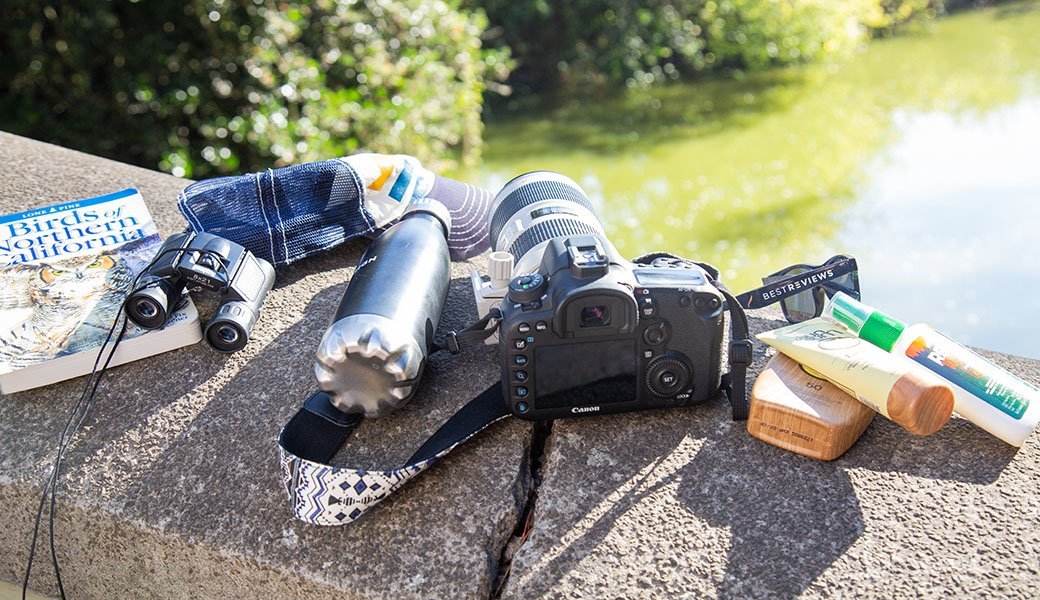 5 Best Bird Field Guides - Aug. 2021 - BestReviews