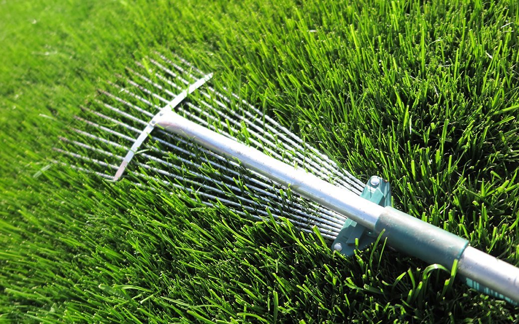 5 Best Adjustable Garden Rakes - Aug. 2021 - BestReviews