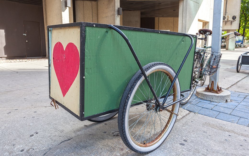 5 Best Bicycle Cargo Trailers June 2021 BestReviews