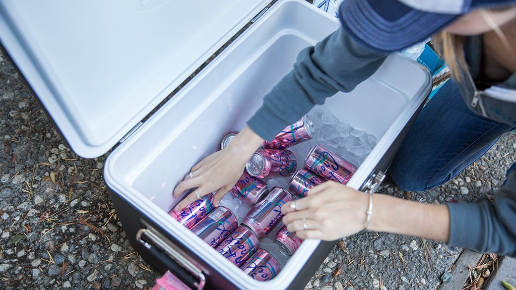 5 Best Coleman Coolers Nov. 2020 BestReviews
