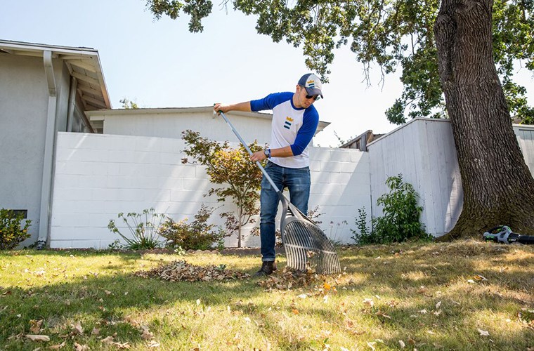 The quintessential fall lawn care schedule