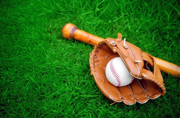 Everything you need to know about buying a baseball bat