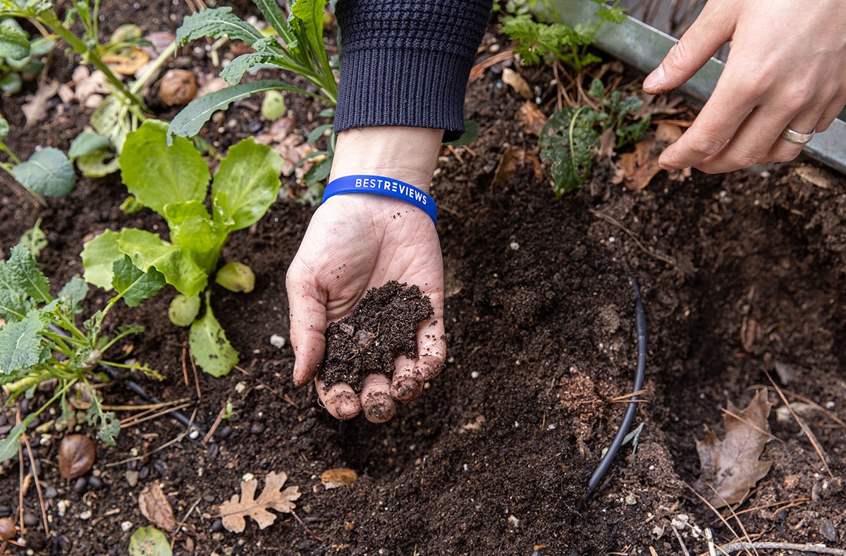 Potting soil vs. garden soil