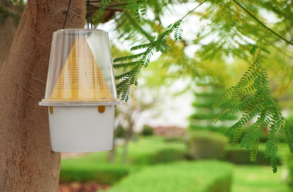 These outdoor insect traps will make dining al fresco more enjoyable