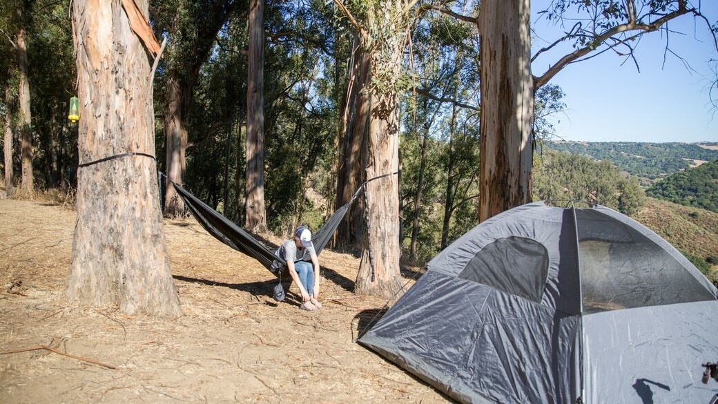 Best backpacking cot