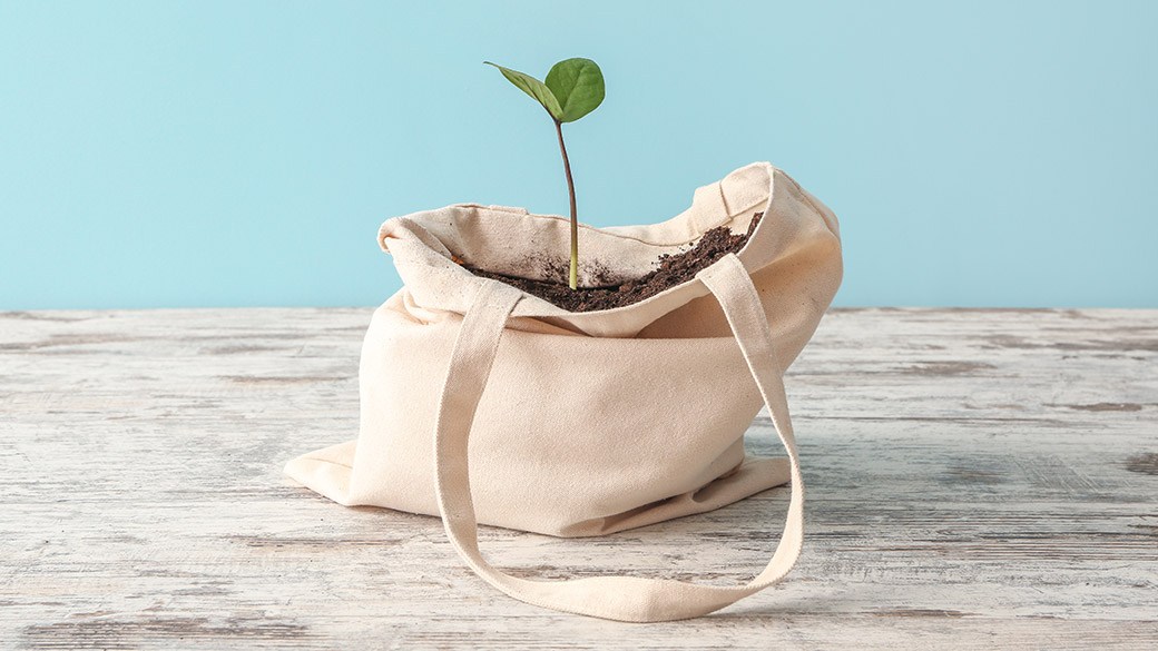 Best fabric grow bags