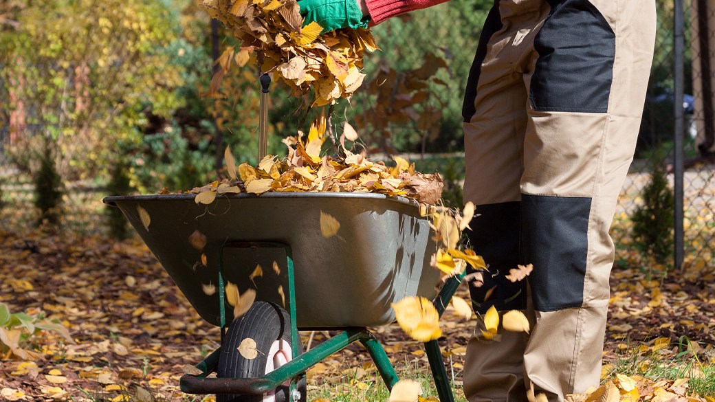 The best leaf scoop for fall lawn care