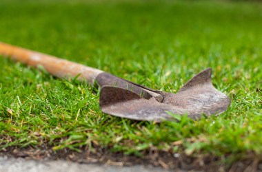 Best manual lawn edger