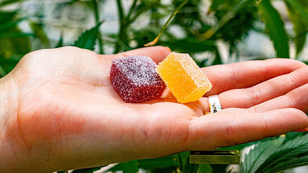 Hemp Gummies Vs. CBD Gummies