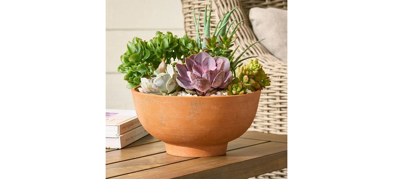 Better Homes & Gardens Terracotta Recycled Resin Planter on table