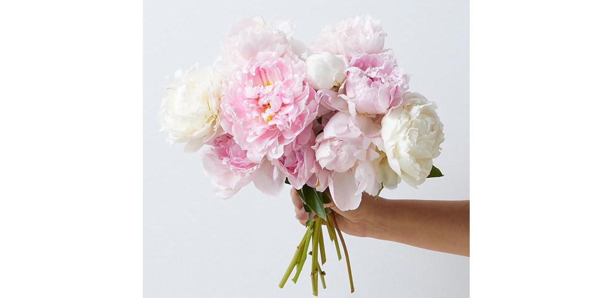 Bouqs Farmer's Choice Peonies