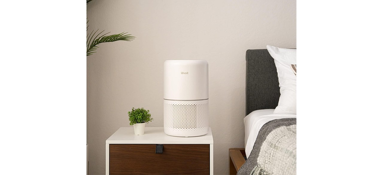 LEVOIT Air Purifier for Home Core300-P