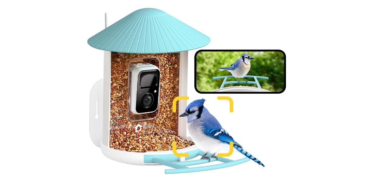 NETVUE by Birdfy AI Smart Bird Feeder with Camera