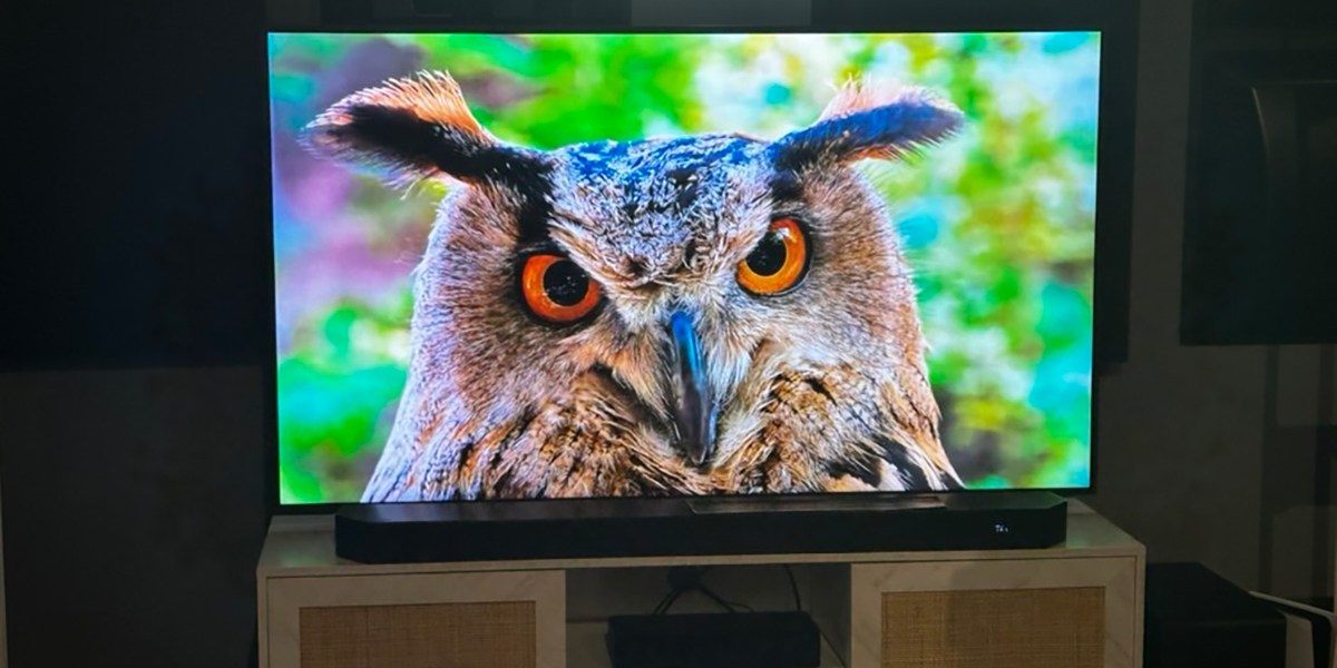 Samsung The Frame with image of owl on screen