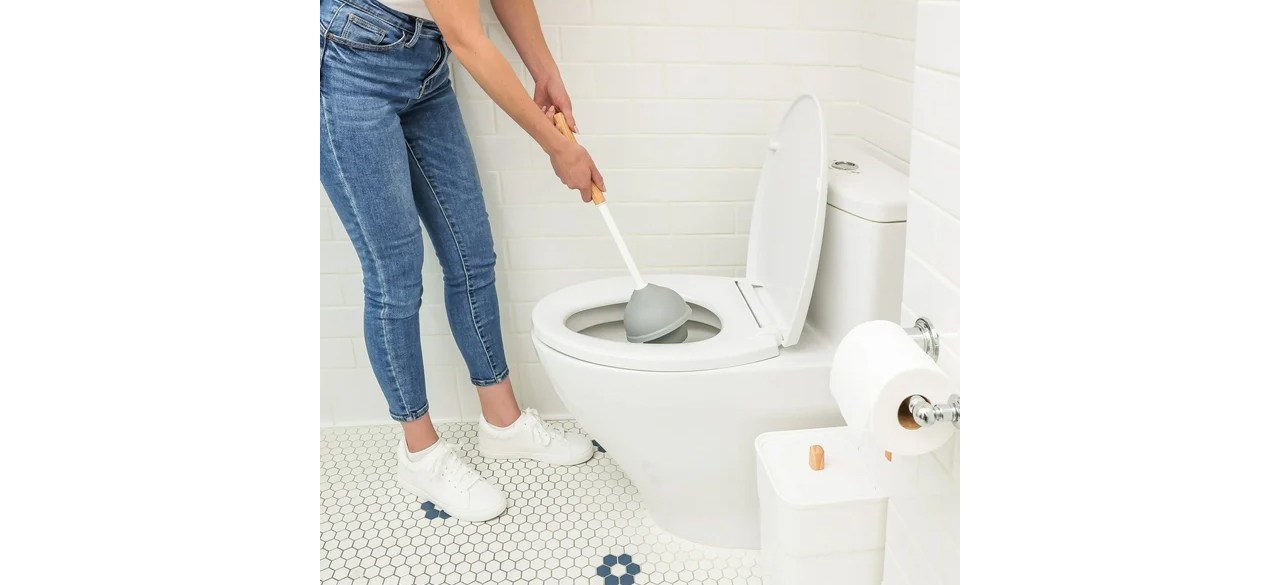 HomeEdit 3-in-1 Plunger Bowl Brush Trash Unit