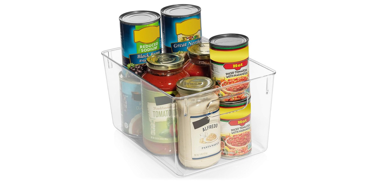 ClearSpace Clear Plastic Storage Bins