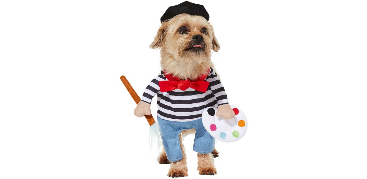 Frisco Front Walking French Artist Dog & Cat Costume