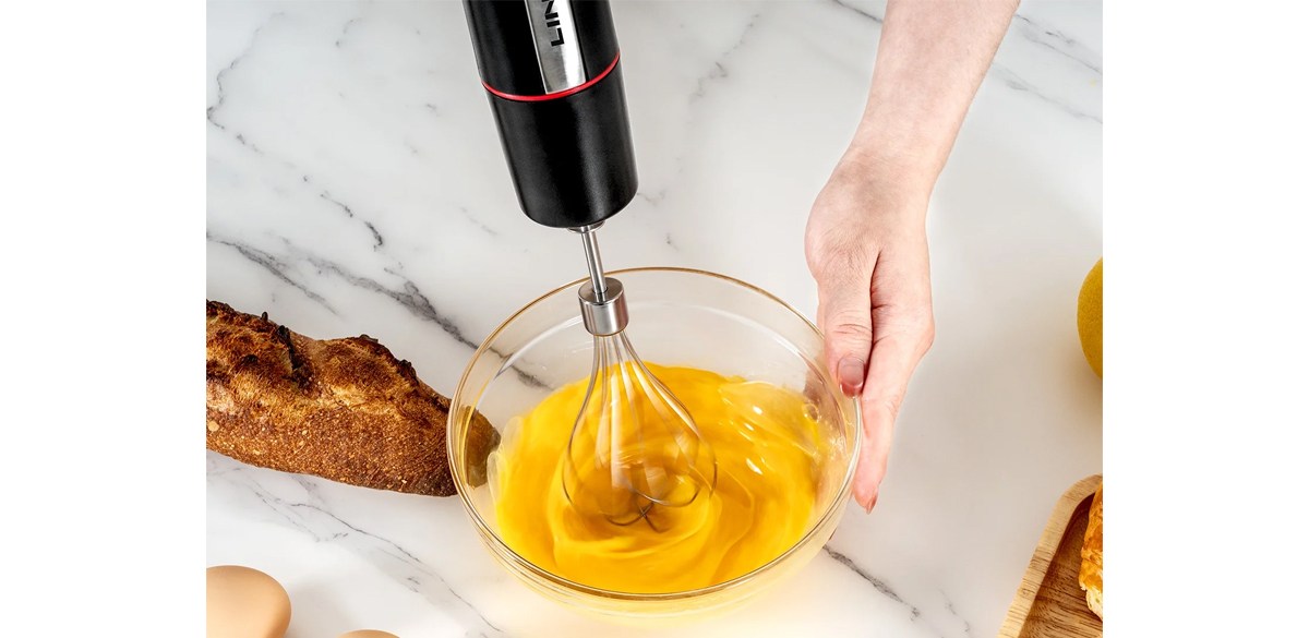 LINKChef Immersion Blender