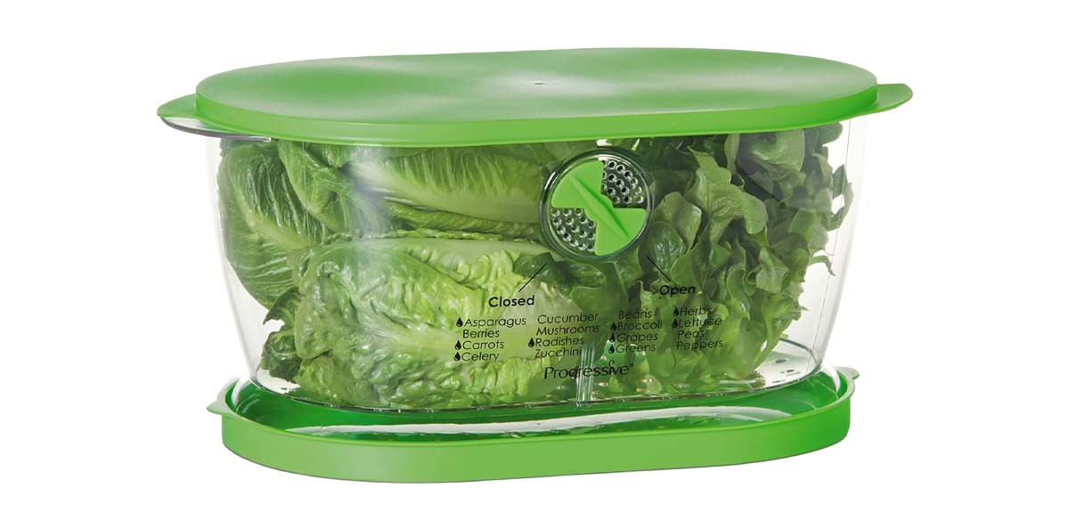 Prep Solutions by Progressive Lettuce Keeper