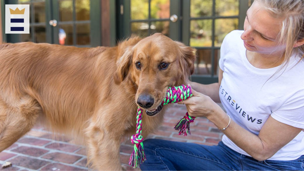 9 topselling pet products that dogs and cats love