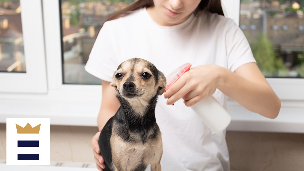 The best calming product for dogs