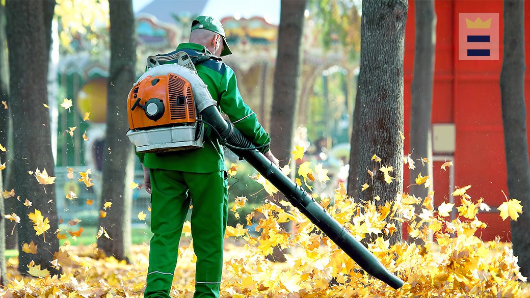 Greenworks leaf blower vs. sweeper vs. vacuum