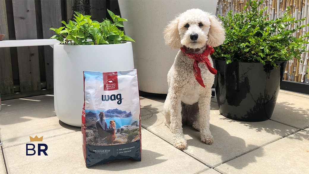 Wag review Do pets approve of Amazon’s dog food?