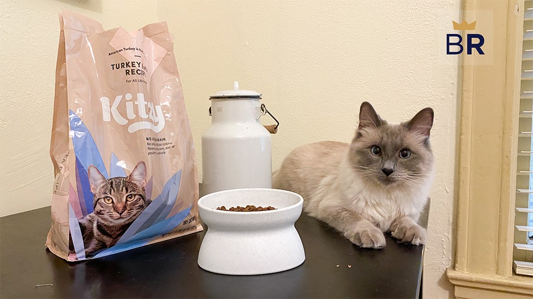 Kitzy review How do cats feel about Amazon's new dry food?