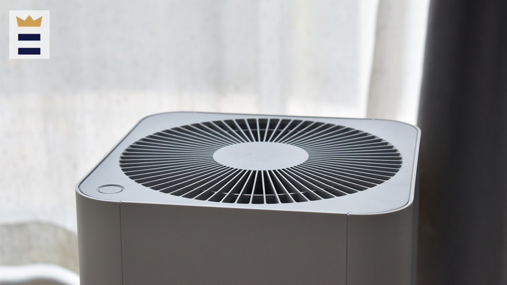 The best air purifier under 100