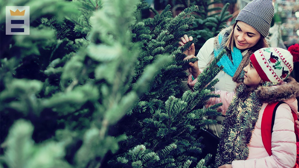 Best Black Friday Christmas tree deals