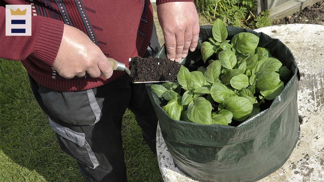 Gardener's Best® Potato Grow Bag