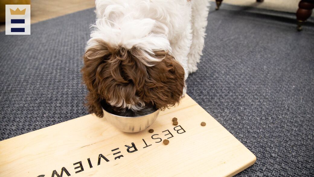 Best Petsmart dog food