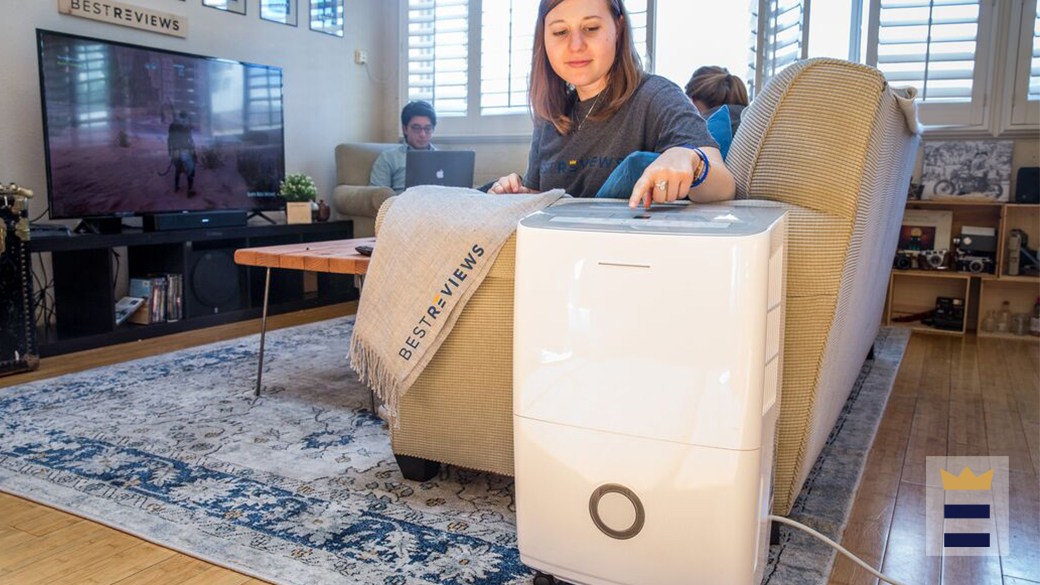 Best Toshiba dehumidifier