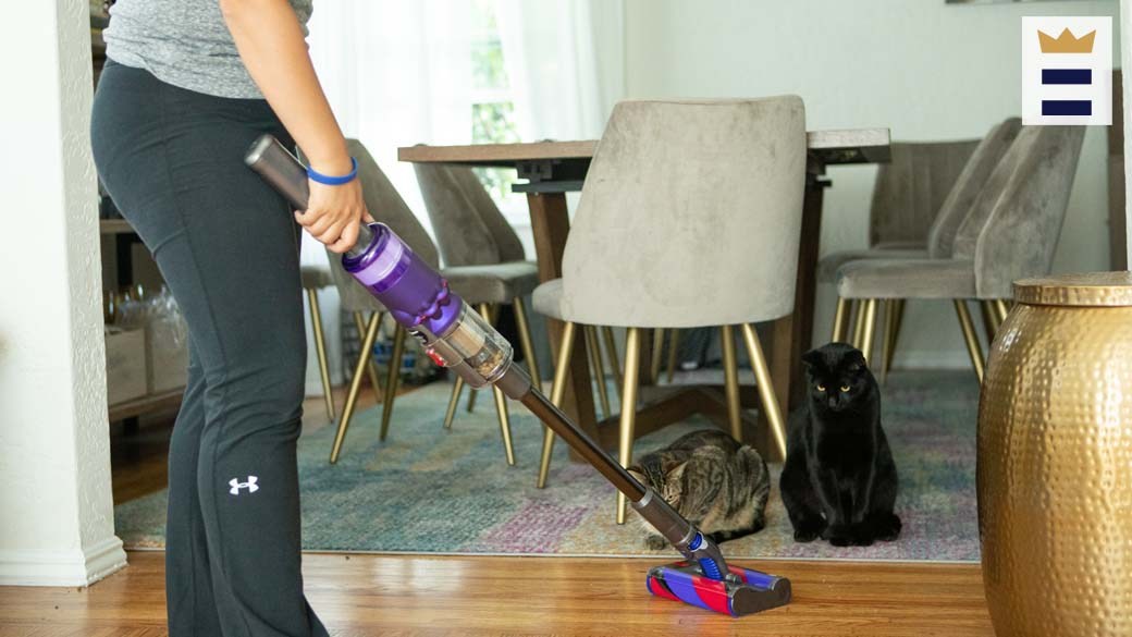 Best pet vacuums